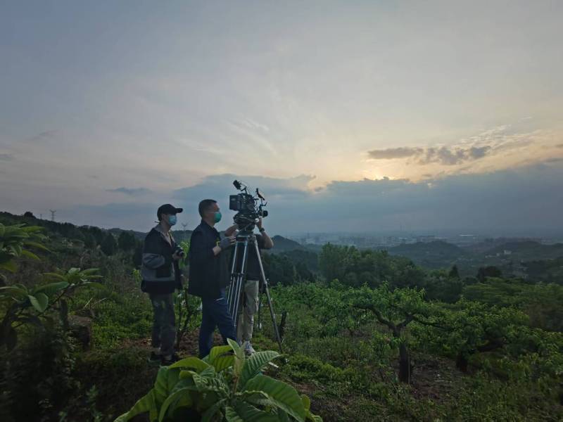 创意破圈！和龙市电商产品宣传视频用故事化叙事引爆流量
