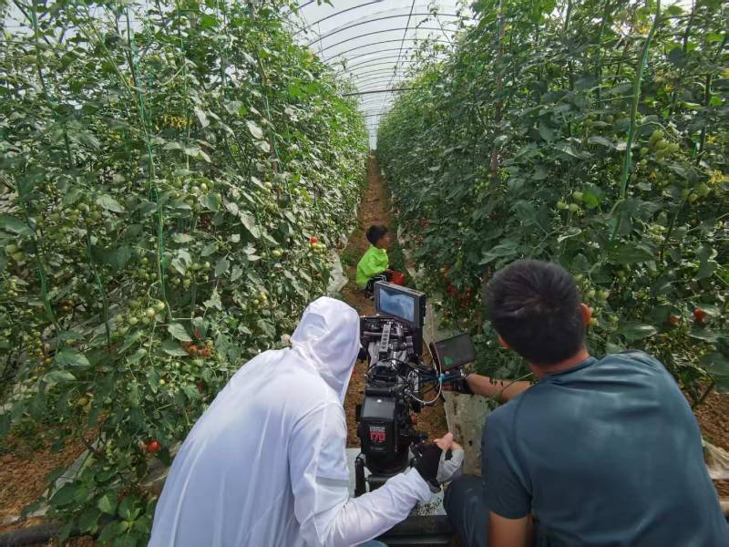 和龙市产品宣传视频拍摄公司进阶指南，助力品牌抢占传播高地